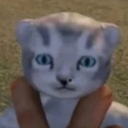 coffinratbaby avatar