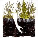 cognitivevacancy avatar