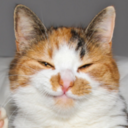 cogsandsprings avatar