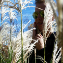 coheed-and-bootysex avatar