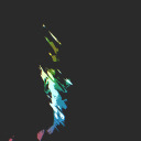 cohesive-duck avatar