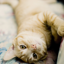 coisaseternas-blog avatar