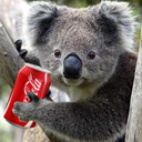cokakoala avatar