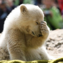 cokeandoreos-blog avatar