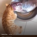 cokezero3timesaday avatar