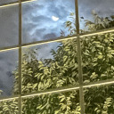 cold-ass-water avatar