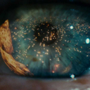 cold-cold-blood avatar