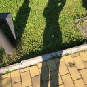 cold-euphoria01 avatar