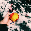 coldbeersandtears avatar