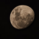 coldbronzemoon avatar