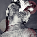 coldcreateheat avatar