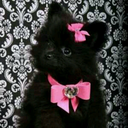 coldestthingmoving avatar