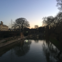 coldheartedalpaca avatar