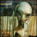 coldpizzawerewolf avatar