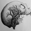 coldstudentluminary avatar