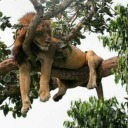 coldweaselpersonathlete avatar