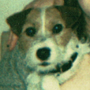 colin-crossing avatar