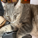 colinfisher22 avatar