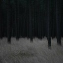 coliseum-z-blog avatar