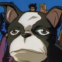 collapsetheberry avatar