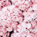 collarbonedream avatar