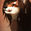 collared-husky avatar