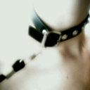 collaredwolfpup avatar