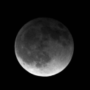 collarfullofmoonlight avatar