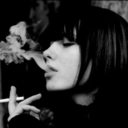 collarlesspet avatar