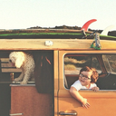 collectedcha0s avatar