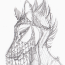 collecters-cut avatar