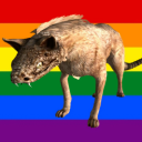 collection-avenue avatar