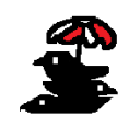 collection-of-crows avatar