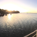 collection-of-found-thoughts avatar