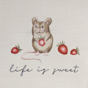 collection-of-oddities avatar