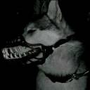 collectiondemeduses avatar