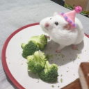 collectioninck avatar