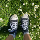 collectionofnoise avatar