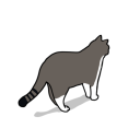 collective-meong avatar