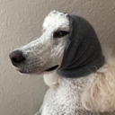 collectivecoma avatar