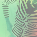 collectives-blog avatar