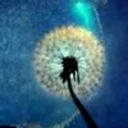 collectmythings avatar