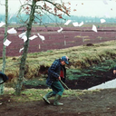 collectorofphotographs avatar