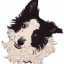 colliefordit avatar