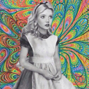 collisionedistelle avatar