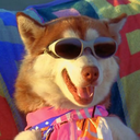 collisionmachine avatar