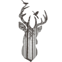 collosuscrusher avatar