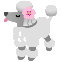 colonel-poodle avatar