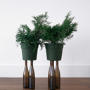 coloniadesignstudio avatar