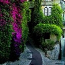 colonialgoods avatar